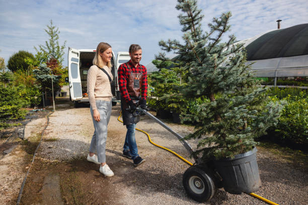 Best Lawn Watering Services  in Jeffersontown, KY